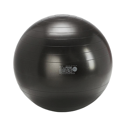 PELOTA GYMNIC PLUS 65 CM DIAM NEGRO COD 95.43 LDP